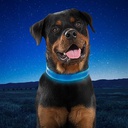 NiteDog Rechargeable LED Dog Collar | Blue