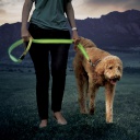 NiteDog Rechargeable LED Leash | Blue