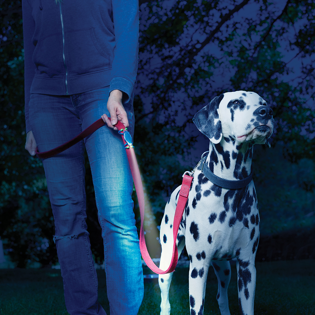 Nite Ize Leash Lit LED Leash Flashlight