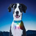 Nite Ize SpotLit Rechargeable Collar Light | Disc-O