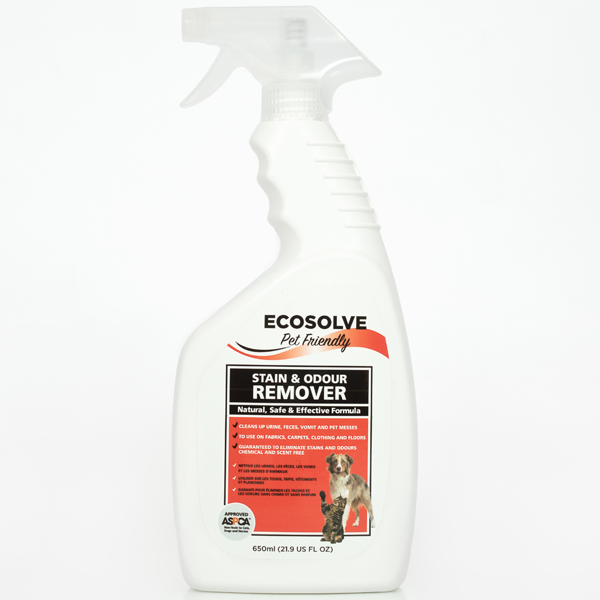 EcoSolve Stain &amp; Odor Remover (650ml)