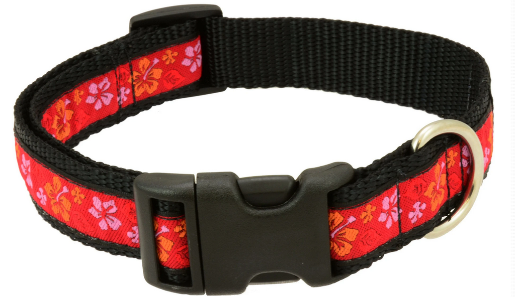 Silverfoot Dog Collar - Maui Waui Red MW1 (10&quot;-16&quot;)