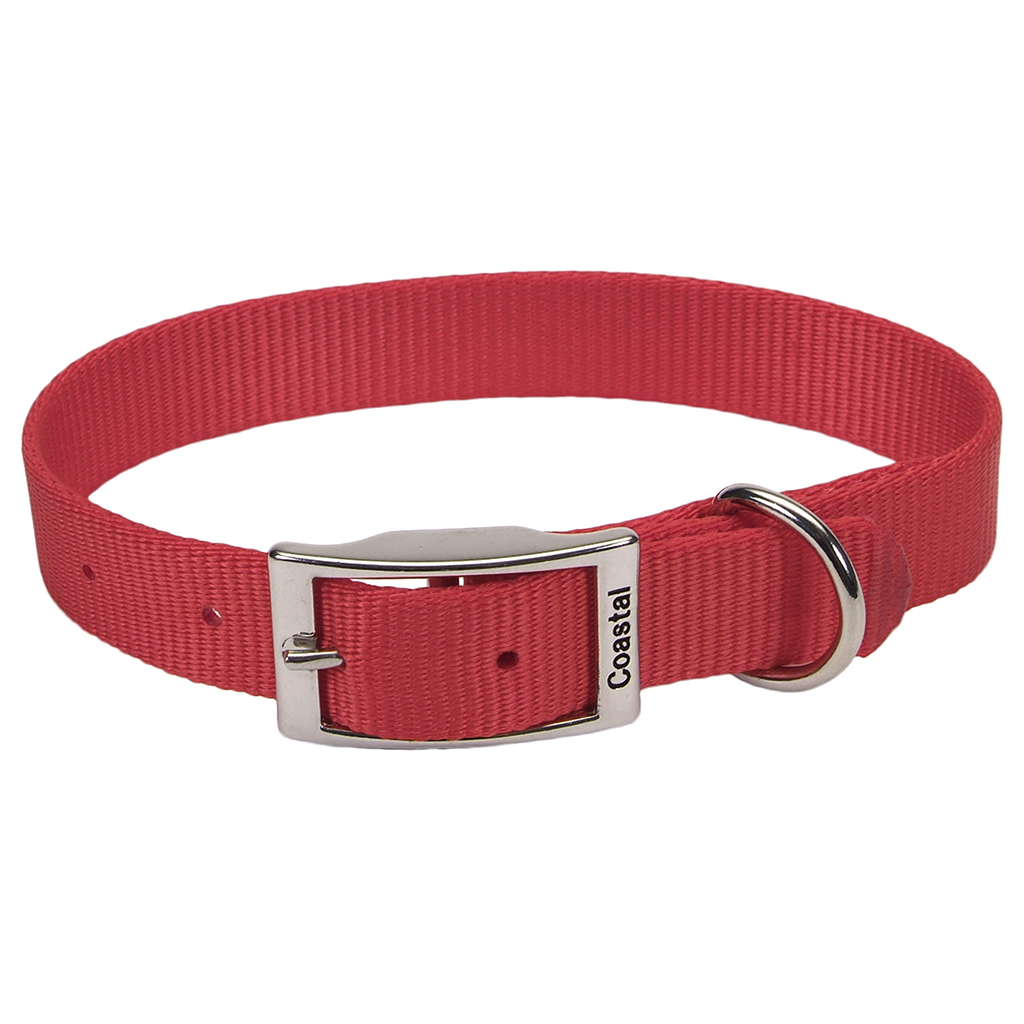 Single Ply Nylon Collar (20 x 1&quot;)