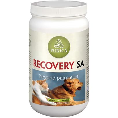 Recovery SA Powder (150g)
