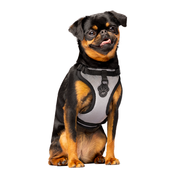 Canada Pooch Everything Harness | Reflective Mesh