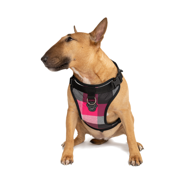 Canada Pooch Everything Harness | Pink Plaid