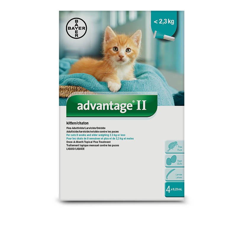Advantage II Flea Treatment - 2 Dose | Cat (2.3kg - 4kg)