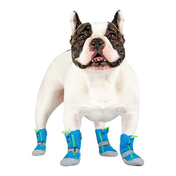 Canada Pooch Hot Pavement Boots | Blue