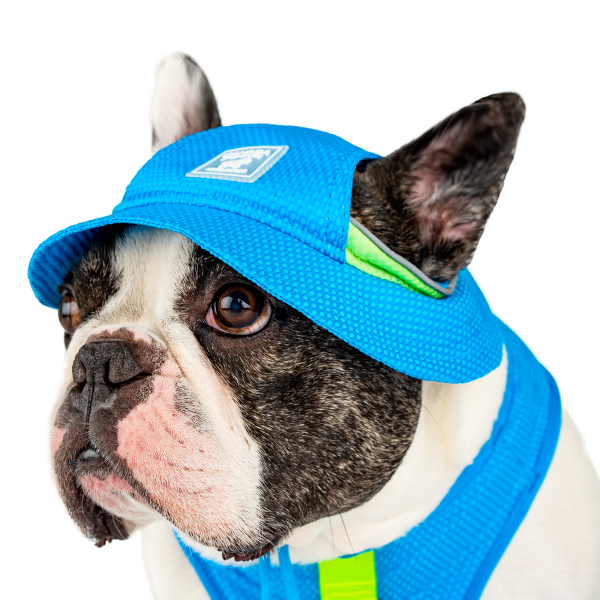 Canada Pooch Chill Seeker Cooling Hat | Blue