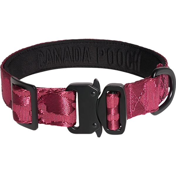 Canada Pooch Core Utility Collar | Plum Camo