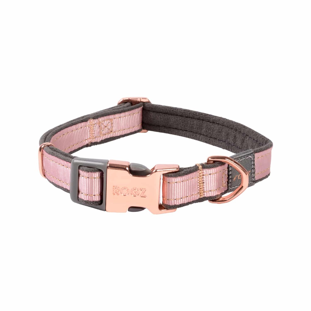 Rogz Classic Collar for Small Dogs | Urban Range (Pink)