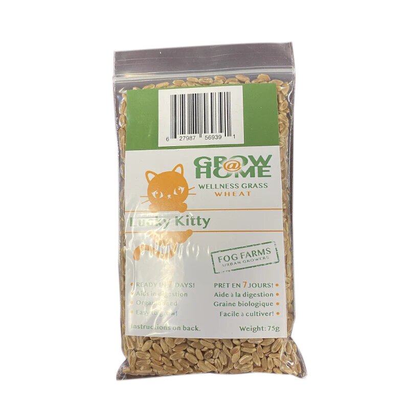 Lucky Kitty - Grow at Home Seed Pack