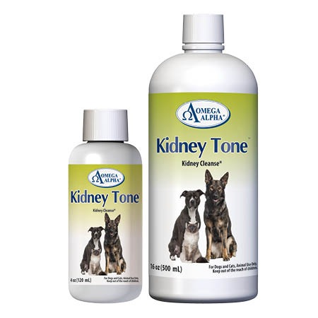 Omega Alpha KidneyTone (500ml)