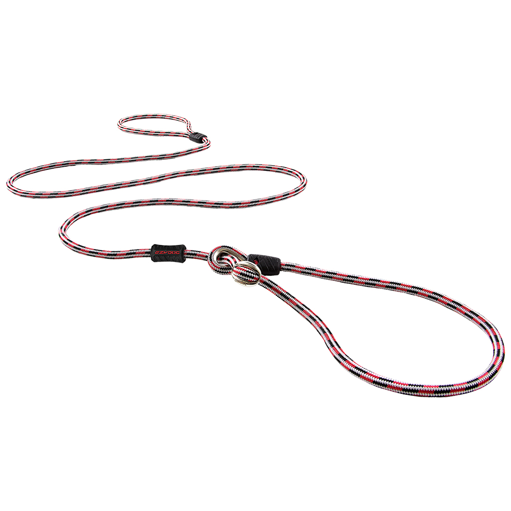 Luca Lite All-in-One Leash &amp; Collar